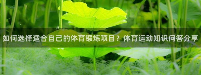 意昂4