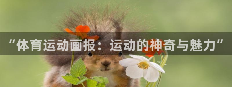 意昂体育合法嘛