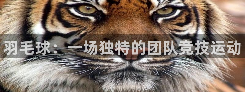 意昂体育官网注册