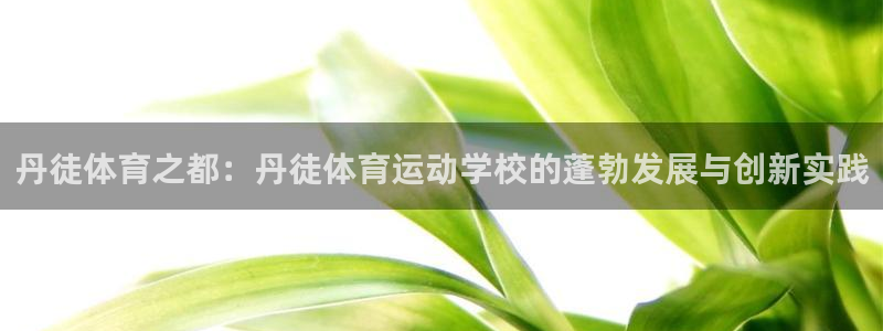 意昂体育用品