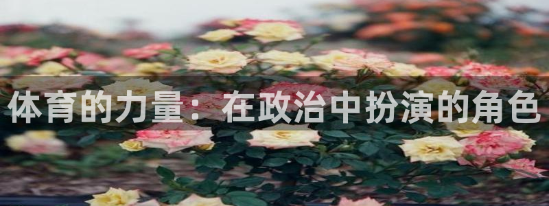 意昂体育官网