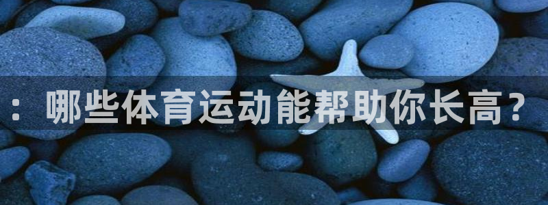 意昂凯捷开号链接