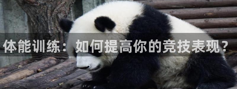 意昂集团
