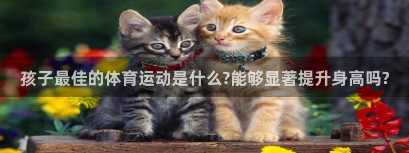 意昂体育凯捷代理注册