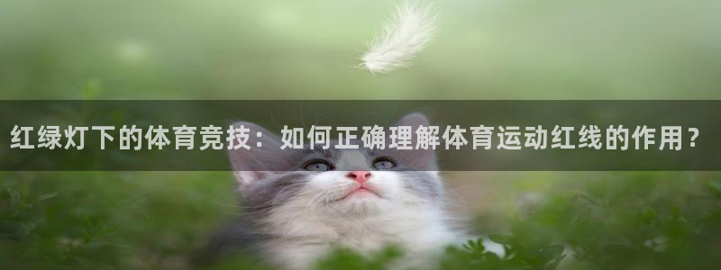 意昂3登陆